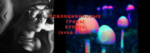 каннабис Алзамай