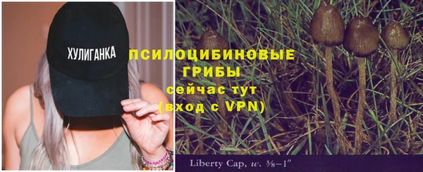 каннабис Алзамай