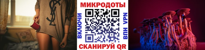 kraken сайт Алупка Псилоцибиновые грибы Psilocybe